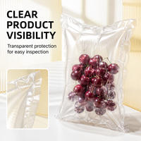 Bolsa Protectora Inflable Resistente y Robusta para Envíos Internacionales de Larga Distancia, Calidad Confiable, Proveedor de Confianza