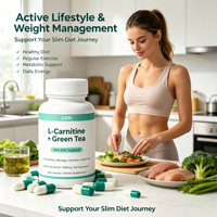Capsules de thé vert probiotique Moringa, extrait de L-Carnitine, complément alimentaire minceur, commande en gros OEM