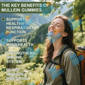 OEM/ODM/OBM estratto di foglie di verbasco supporto immunitario per la pulizia dei polmoni respiratori con quercetina Ashwagandha estratto di Mullein Gummies - Product Image 5