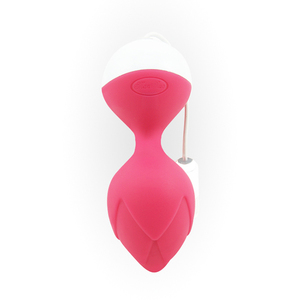 Exerciceur de Kegel magnétique sans fil à commande USB, rechargeable, pour le plancher pelvien, avec application, étanche, en silicone, billes vaginales - Product Image 5