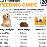 Probiotiques pour chiens OEM saveur citrouille à mâcher – Favorisent la santé intestinale, la digestion et l'immunité – Enzymes digestives