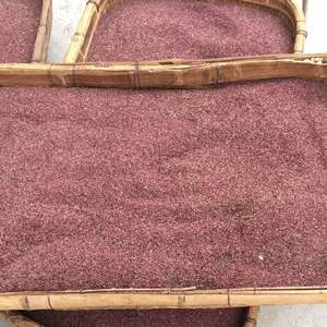 <span class=keywords><strong>Pollen</strong></span> de pollinisation de poire de haute qualité, spécialisé pour la pollinisation artificielle des arbres à poire, vitalité stable - Product Image 4