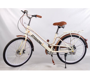 <span class=keywords><strong>Bicicleta</strong></span> Urbana de 26 Pulgadas para <span class=keywords><strong>Mujer</strong></span>, Venta al Por Mayor de Fábrica, <span class=keywords><strong>Bicicleta</strong></span> Urbana de Acero con Alto Contenido de Carbono, <span class=keywords><strong>Bicicleta</strong></span> Clásica <span class=keywords><strong>Vintage</strong></span> con Cesta - Product Image 5
