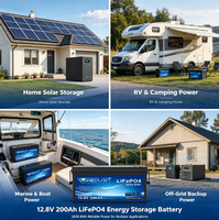 VELA VB120200 12.8V 200Ah LiFePO4 Baterai Penyimpanan Energi Surya Siklus Dalam untuk Sistem Off-Grid Pedesaan, Penggunaan Luar Ruangan RV, Bersertifikasi CE 5000