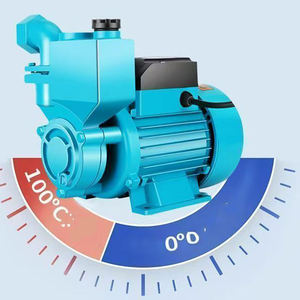 Pompe de surpression auto-amorçante 100 % fil de cuivre avec turbine en laiton, pour chauffage et applications solaires, pour le pompage <span class=keywords><strong>d</strong></span>'<span class=keywords><strong>eau</strong></span> propre des puits - Product Image 5