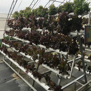 Skyplant a Type Grands systèmes hydroponiques, Systèmes hydroponiques verticaux - Product Image 2