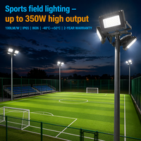 Projecteur LED COB de sécurité extérieur 350W à haut rendement pour l'éclairage des stades 100LM/W IP65 IK06 Boîtier en aluminium