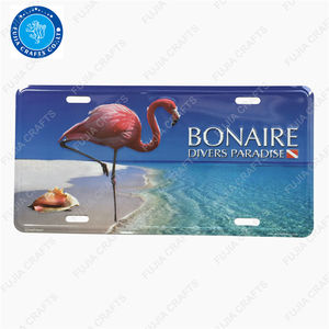 Plaques d'<span class=keywords><strong>immatriculation</strong></span> vierges Plaques d'<span class=keywords><strong>immatriculation</strong></span> de véhicule Europe américaine Plaques d'<span class=keywords><strong>immatriculation</strong></span> de voiture pour le gouvernement - Product Image 4