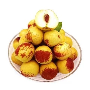 Giá Ngày Đỏ <span class=keywords><strong>Jujube</strong></span> Ngọt Ngào Juicy Trung Quốc Mùa Đông Tươi Mát - Product Image 2