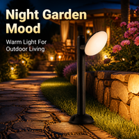 Lampe LED pour pelouse personnalisable CCT 10W, anti-corrosion salin, givrée, à angle réglable, pour hôtel, fontaine d'eau et piscine