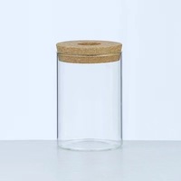 Culture hydroponique sans sol de plantes vertes décoration de la maison vase en verre pot de fleur dessus de table