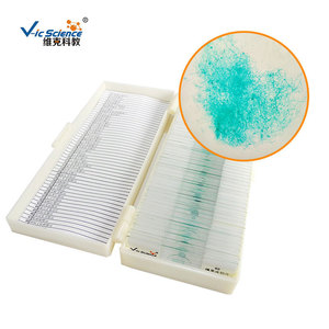 Fournisseur direct d'objectifs de microscope Mucor, de préparations microscopiques et d'équipements pédagogiques de biologie pour les niveaux primaire et secondaire. - Product Image 2