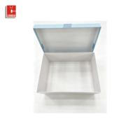 Boîte Cadeau Rectangulaire avec Couvercle et Base, Sac en Papier Bleu Imprimé Inclus pour Cosmétiques, Parfums, Extensions de Cheveux – Vente en Gros de Boîtes Cadeaux