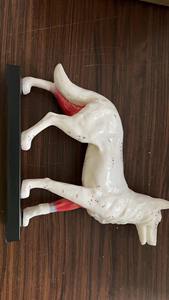 Modelo de Acupuntura Canina para Ciencias Médicas, Modelo de Anatomía de Esqueleto Animal, Modelo de Anatomía Animal - Product Image 4