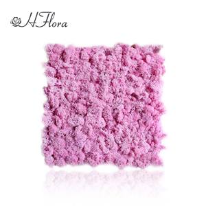 Hflora Offre Spéciale naturel mousse préservée meilleur vendeur préservé renne mousse panneau stabilisé pour la décoration de mariage - Product Image 4