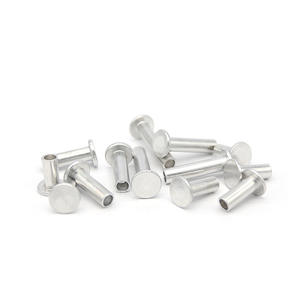 Din7338 304 316 Roestvrij Staal M2 M2,5 M3 M4 M5 M6 Semi-Buisvormige Klinknagel Dunne Platte Kop Semi-Buisvormige Klinknagels Met Hol Uiteinde - Product Image 6