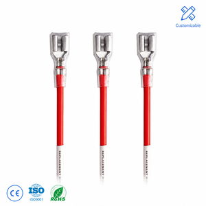 Connecteurs mâles et femelles personnalisés XT60 <span class=keywords><strong>XT</strong></span>-60, fiches PTFE, fil de cuivre pur <span class=keywords><strong>12V</strong></span> 14 AWG, pour batterie Lipo RC, quadricoptère, multicoptère - Product Image 1