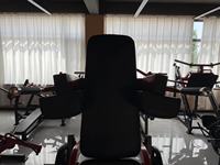 Vente en gros directe d'usine, usage commercial, BICEP TRAINER pour la musculation