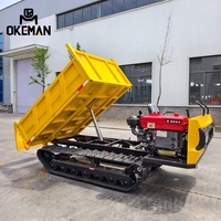 Mini-Baggerlader mit Dieselmotor Leistungsstarkes Hydrauliksystem 1 Jahr Garantie zum Verkauf