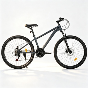 Vélo de montagne haut de gamme pour homme, selle confortable pour les sorties décontractées et les trajets urbains - Product Image 3
