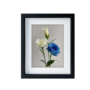 <b>Black</b> <b>Photo</b> Wood Collage <b>Frame</b> with Tempered Glass and White Displays Wood Pictures - Product Image 2