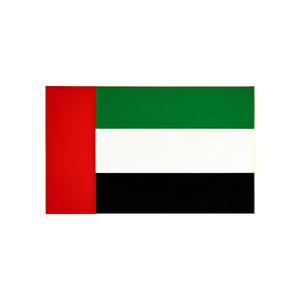 Agent maritime fiable de la Chine aux Émirats arabes unis Service porte à porte DDP pour l'Arabie saoudite Égypte Jordanie <span class=keywords><strong>Amazon</strong></span> <span class=keywords><strong>FBA</strong></span> Prep comprenant le camionnage aérien - Product Image 1