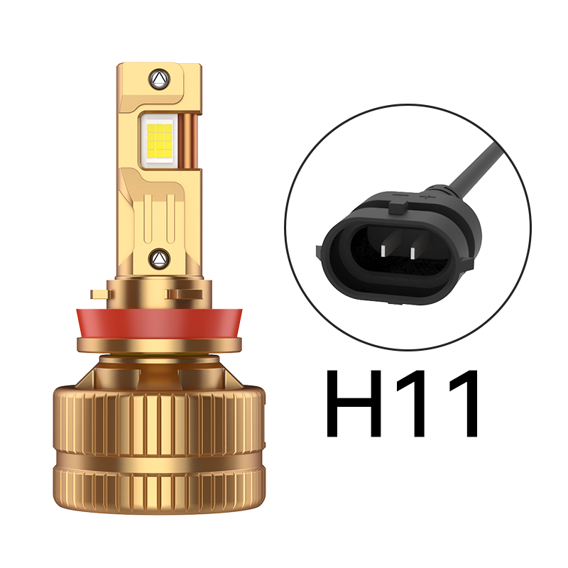 H11
