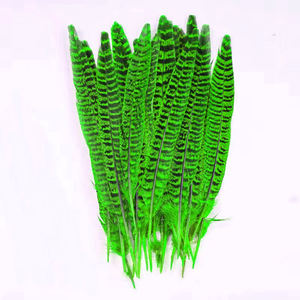 Plumes de faisan de 12 à 14 pouces, vente en gros d'usine, pour la pêche à la mouche, la confection de costumes de carnaval, la décoration, les reconstitutions de l'ère victorienne - Product Image 5