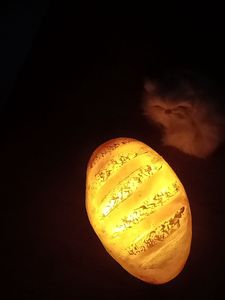 <span class=keywords><strong>โคม</strong></span><span class=keywords><strong>ไฟ</strong></span>ทรงขนมปัง3D รูปเขาแกะขนาดเล็กสำหรับใช้ในบ้านร้านอาหารโคม<span class=keywords><strong>ไฟ</strong></span>สำหรับปิ้งขนมปัง - Product Image 4