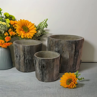 Pot de fleur fait à la main en forme d'arbre de style classique Kit de jardinière succulente en ciment pour jardin extérieur créatif Nouveau Design Carton