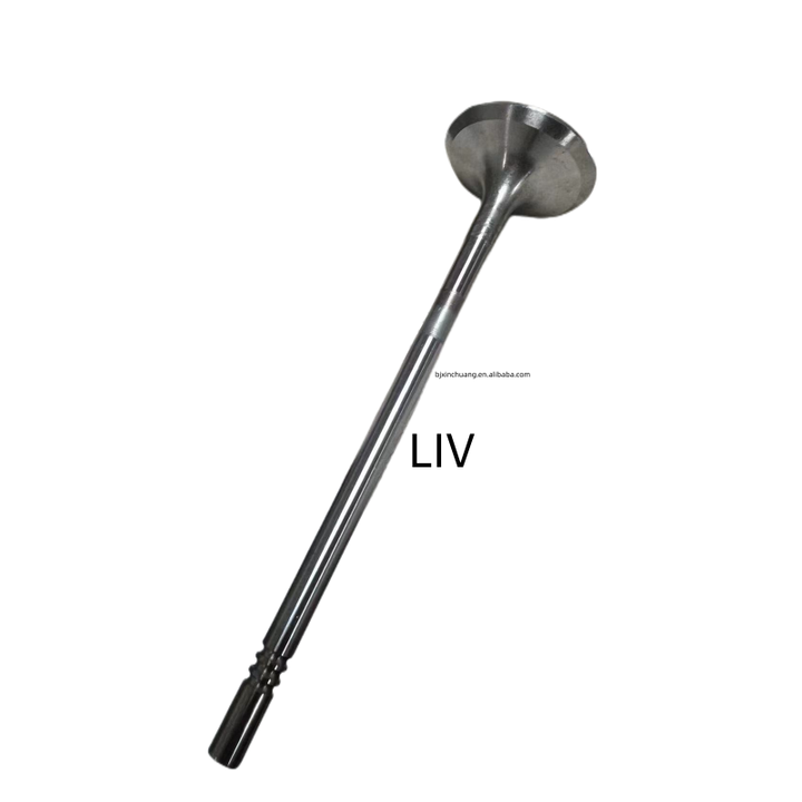 Automotive parts cylinder head/inlet valve/exhaust valve 1.0T LIV 