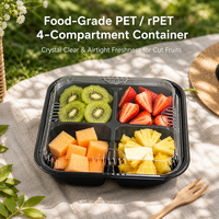 Boîte alimentaire carrée en PET à 4 compartiments pour fruits coupés, 205 mm, 500 g, couvercle anti-buée, conforme FDA, recyclable