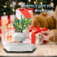 Pot de fleurs en lévitation magnétique en plastique imprimé en 3D Art déco Écologique Pot de bonsaï Pot de plante flottant Décoration de la maison