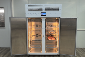 Shineho Jds2000 Chất Lượng Cao Tốc Độ Cao Thawing Tủ Lạnh Cho Gà/Thịt Bò/Thịt Lợn Cho Gà Chiên Nhà Hàng - Product Image 3