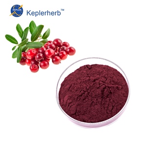 Extracto Herbal de Arándano Puro y Natural de Alta Calidad, Polvo con 25% de Antocianinas, Certificado UV HPLC GMP, para Suplemento de Salud Ocular, en Envase Tipo Tambor - Product Image 1