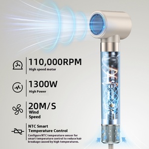 Logotipo personalizado multifuncional de alta velocidad 110000RPM Motor todo en uno secador de pelo concentrador boquilla de iones negativos para uso doméstico de mujeres - Product Image 2
