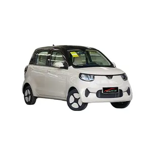 इलेक्ट्रिक कारों इलेक्ट्रिक वाहन रूपांतरण Xiaohu FEV 2022-चार वज्र जो टाइगर के लिए सबसे अच्छा बेच