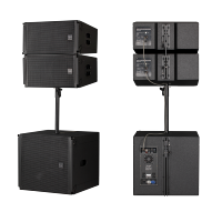 VTX10 Enceinte Line Array Passive à Deux Voies de 10 Pouces pour Bars, Concerts et Spectacles en Plein Air