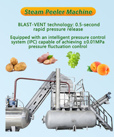 Sanitaire ontwerp, voedselveilig, continu verwerkende stoomschiller voor de verwerking van ingeblikt fruit