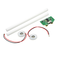 Double module de pulvérisation Humidificateur USB drive circuit imprimé atomisation équipement d'expérimentation Ultrasonic DIY incubateur équipement