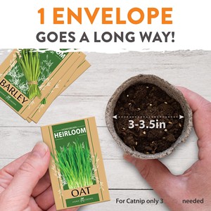 Kit d'herbe en croissance pour chat Offre Spéciale ensemble d'animaux de Style design pays/européen <span class=keywords><strong>jardin</strong></span> extérieur sol bureau en vrac votre ami félin - Product Image 2