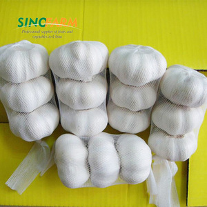 Ajo Fresco de Nueva Temporada 2026, Ajo Blanco Puro de 5.0cm, 5.5cm, 6.0cm, Grado Premium de Exportación, Proveedor Mayorista de Vegetales - Product Image 1