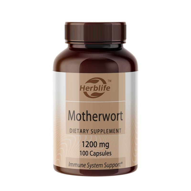 OEM ODM Hot Selling Organic Motherwort