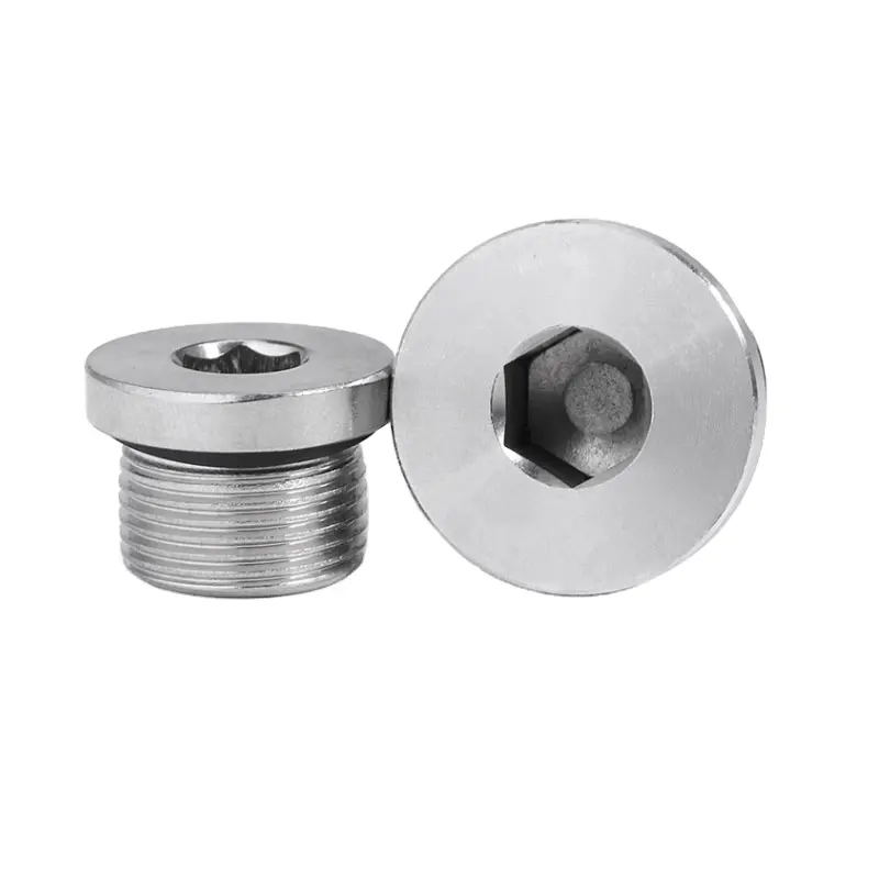 High Quality DIN908 Stainless Steel Pipe Fitting Flange Hollow Hex Plug Thread Pipe Plug