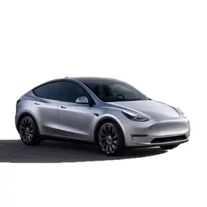 Mobil olahraga mobil listrik Tiongkok 2024 model y mobil kendaraan energi baru otomatis elektrik Tesla