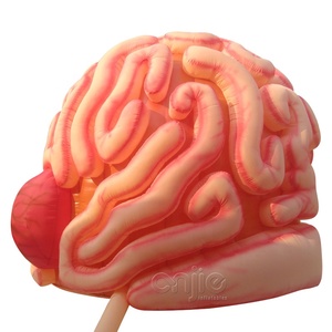 Khổng lồ cơ quan con người Inflatable não mô hình 3D cho giảng dạy Inflatable con người cơ quan não - Product Image 4