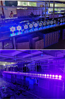 Projecteurs de scène à faisceau LED RGBW 36 DMX512 à tête mobile activée par le son, indice de protection IP33, pour DJ/Discos/Bar/Fêtes de mariage