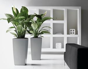 Maceta rectangular <span class=keywords><strong>de</strong></span> riego automático para balcón, maceta <span class=keywords><strong>de</strong></span> fresa, alféizar <span class=keywords><strong>de</strong></span> ventana, tira larga, maceta, caja <span class=keywords><strong>de</strong></span> plantación <span class=keywords><strong>de</strong></span> verduras - Product Image 6