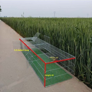 <span class=keywords><strong>Cage</strong></span> d'élevage renforcée et sécurisée pour oiseaux (pigeons, poulets, cailles) à usage domestique, en fil de fer galvanisé, assemblée, <span class=keywords><strong>avec</strong></span> mailles de 1,5 cm - Product Image 4