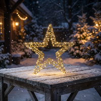 Étoile de Noël Lumineuse avec Film PE Or Champagne, Cadre en Fer Argenté, Fil de Cuivre Blanc Chaud LED pour Décoration de Table de Fêtes